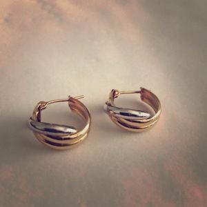 Yellow & White Gold Earrings